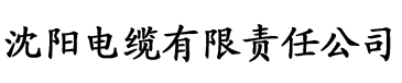 安装小黄片电缆厂logo